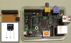 Raspberry Pi with 1-wire interface DIY board